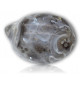 Agate polie
