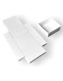 Boites modulaires 50x50x27 mm (paquet de 100 boites)