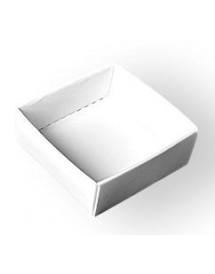 Boites modulaires 90x90x25 mm (paquet de 100 boites)
