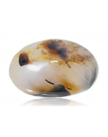 Galet Agate dendritique