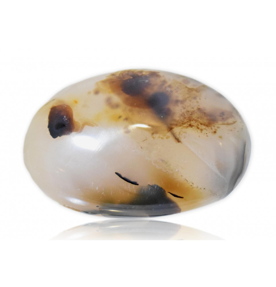 Galet Agate dendritique