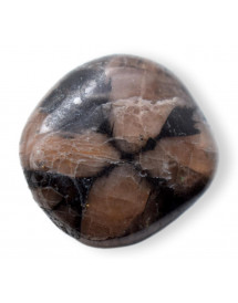 Galet en Chiastolite