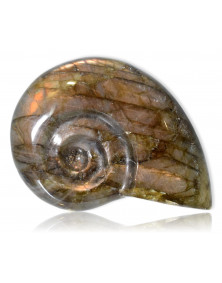 Escargot en Labradorite