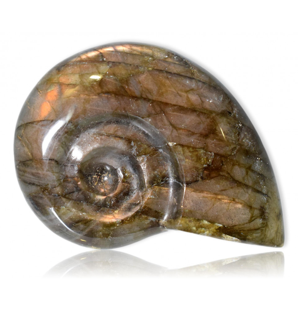 Escargot en Labradorite