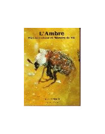 "L'Ambre, miel de fortune et mémoire de vie" - E.Geirnaert