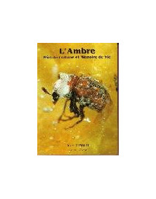 "L'Ambre, miel de fortune et mémoire de vie" - E.Geirnaert