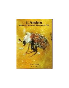 L'Ambre, miel de fortune et mémoire de vie - E.Geirnaert