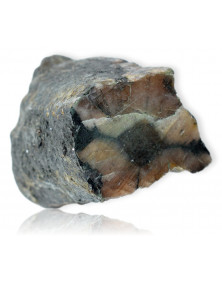 Chiastolite