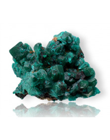 Dioptase du Congo