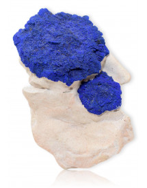 Azurite sur Gangue