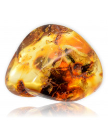 Ambre