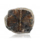 Chiastolite