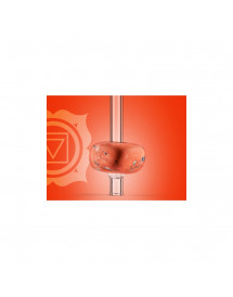 Paille Crystal Straw Jaspe Rouge