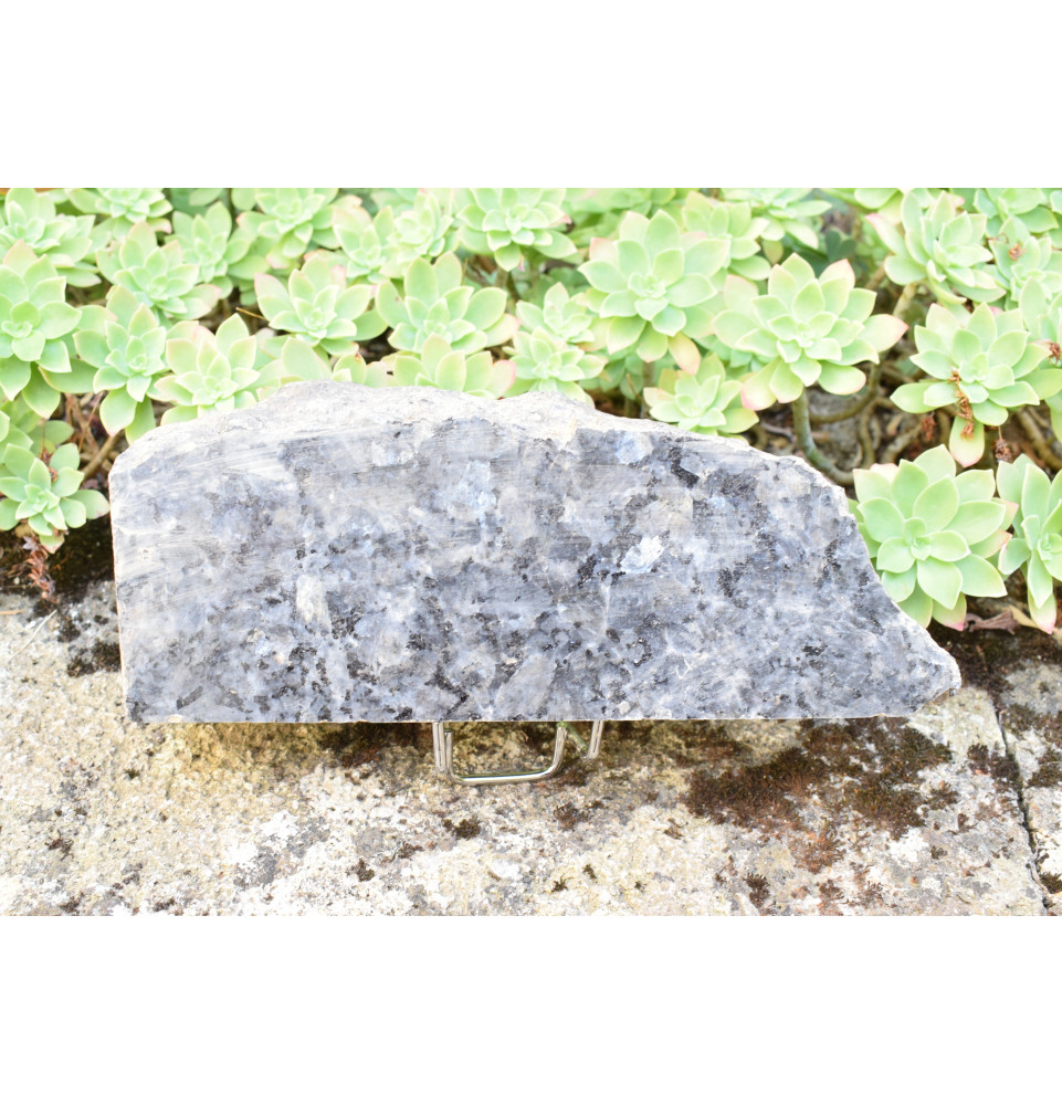 Granit Labrador brut