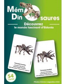 Jeu mémo dinosaures