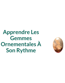 Apprendre Les Gemmes...