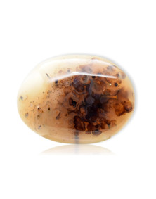 Galet Agate dendritique