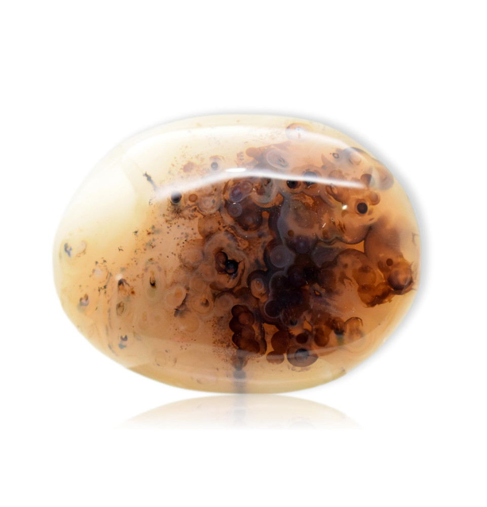 Galet Agate dendritique