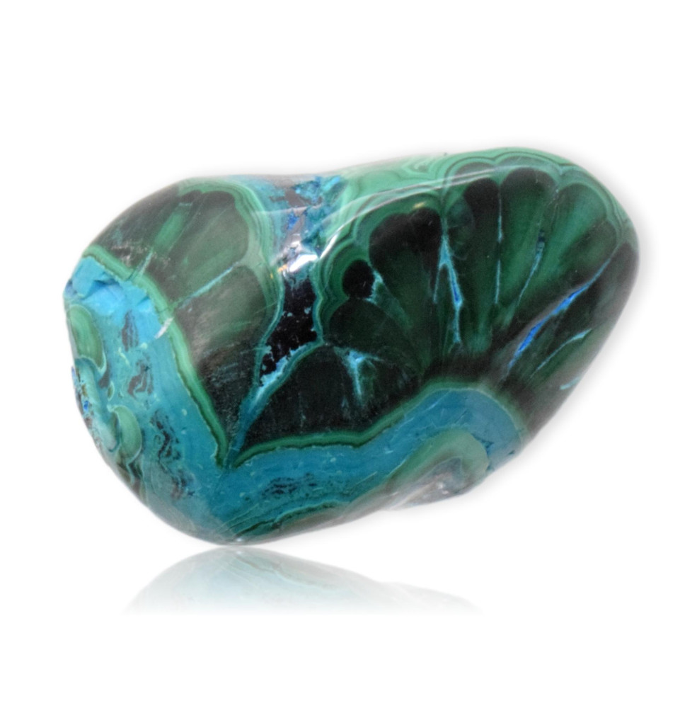 Malachite chrysocolle polie