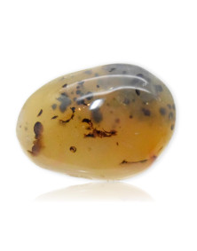 Galet Agate dendritique