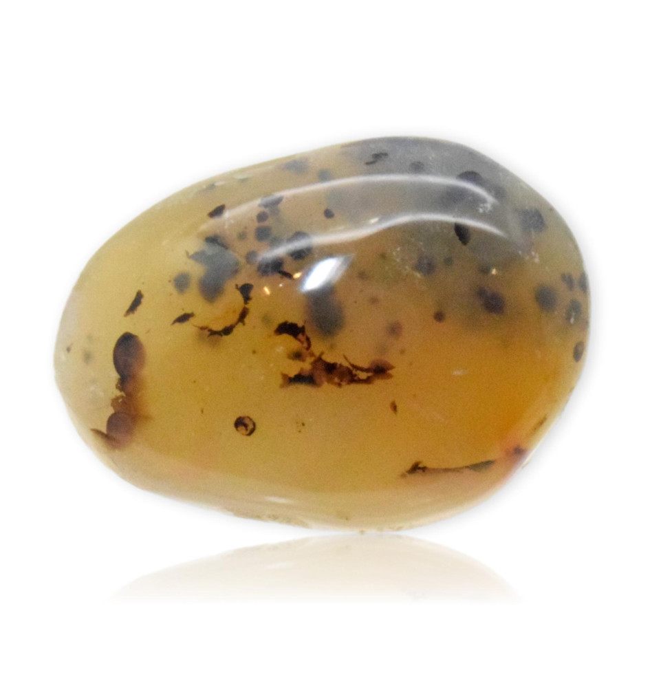 Galet Agate dendritique