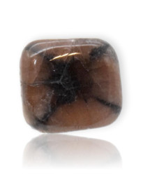 Galet en Chiastolite