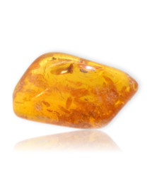 Ambre