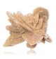 Rose des sables