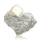 Pyrite sur gangue