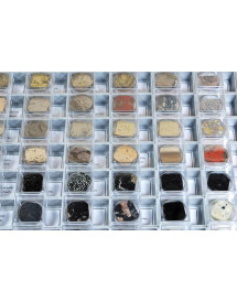 Collection de 20 coupes de...