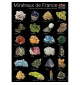 Poster mineraux de collection sur fond noir