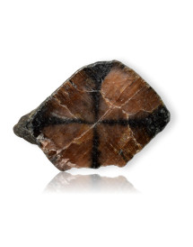 Chiastolite