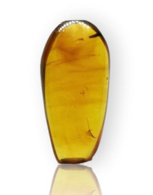 Ambre avec inclusions