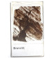 Lame mince de Bronzite