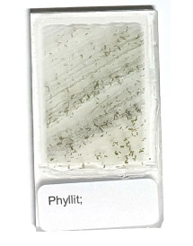 Lame mince de Phyllite