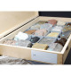 Collection de 20 roches statigraphiques