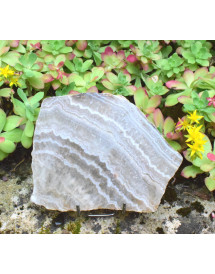 Agate du tarn la trouvaille