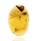 Ambre avec inclusions