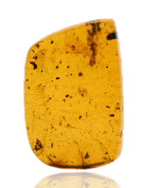 Ambre avec inclusions
