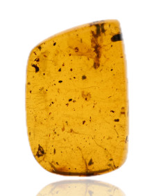 Ambre avec inclusions