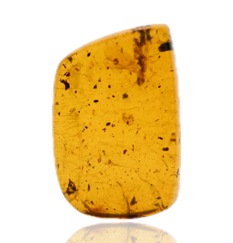 Ambre avec inclusions