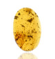 Ambre avec inclusions