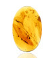 Ambre avec inclusions