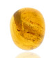 Ambre avec inclusions