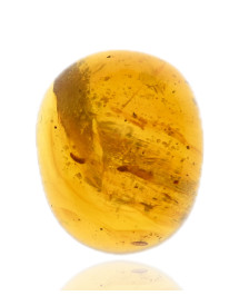 Ambre avec inclusions