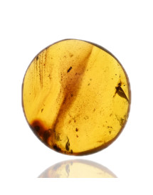Ambre avec inclusions
