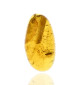 Ambre avec inclusions