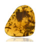 Ambre avec inclusions