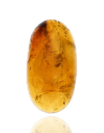 Ambre avec inclusions