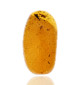 Ambre avec inclusions